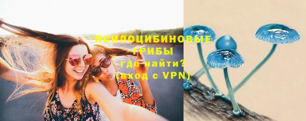 соль курить ск Белокуриха