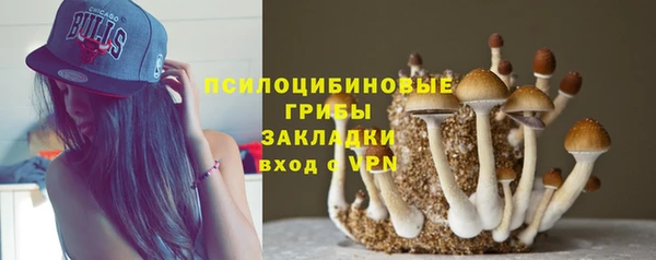 дмт Козловка