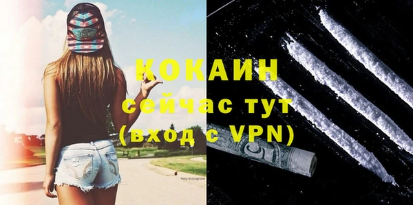 соль курить ск Белокуриха
